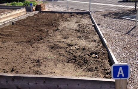 Our Summer with a Community Garden Plot Image